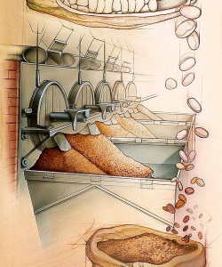 Commercial-Hersheys-Chocolate-Museum-Chocolate-Bean-Roasting