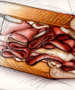Commercial-Quiznos-French-Dip-Sandwich-