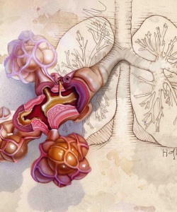 Editorial-American-Family-Physician-Magazine_Asthma