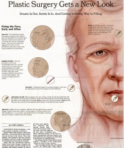 Editorial-New-York-Times-Science-Times-Plastic-Surgery
