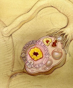 Editorial-US-Pharmacist-Magazine-Premenstrual-Dysphoric-Disorder