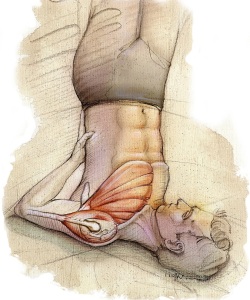 Editorial-Yoga-Journal-Shoulder
