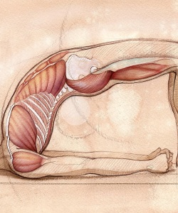 Editorial-Yoga-Journal-The-Bridge-Pose