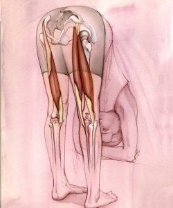 Editorial-Yoga-Journal-Uttanasana-Pose