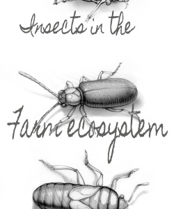 NatSci-Agricultural-Insects