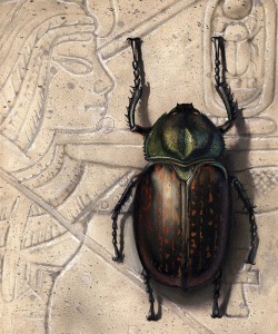 NatSci-Egyptian-Scarab