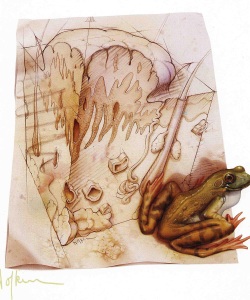 NatSci-Frog-Wart
