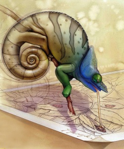 NatSci-Gecko