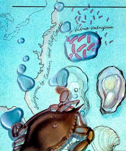 NatSci-Vibrio-Vulnificus-Bacteria
