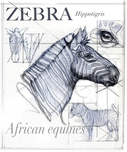 NatSci-Zebra