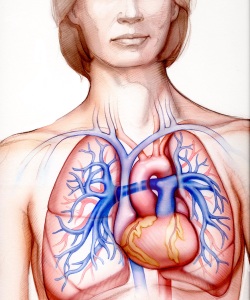 Pharm-Kane-and-Finkel-Ad-Heat-and-Lungs