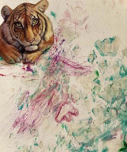 SD-SumatranTiger