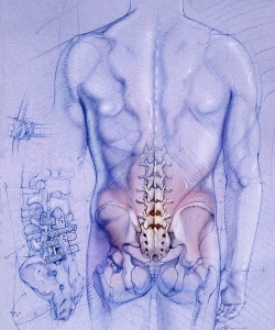 Surgical-Frontiers-Magazine-Building-a-Better-Back-