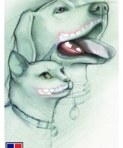 Vet-Hills-Prescription-Diet-Dental