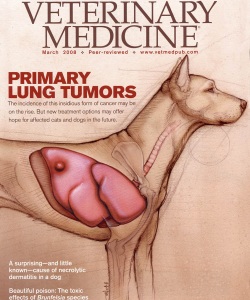 Veterinary-Medicine-Magazine-Primary-Lung-Tumors