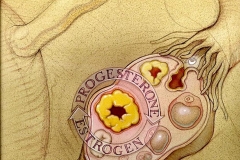 Editorial-US-Pharmacist-Magazine-Premenstrual-Dysphoric-Disorder
