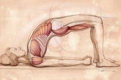 Editorial-Yoga-Journal-The-Bridge-Pose