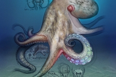 NatSci-Octopus