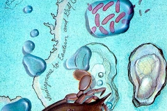 NatSci-Vibrio-Vulnificus-Bacteria