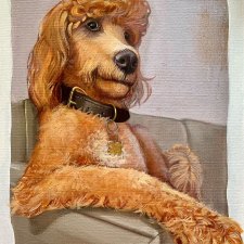 Mazie