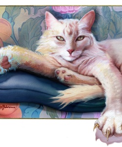 Vet-Madame-Ginger