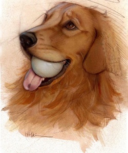 Vet-PortraitCal