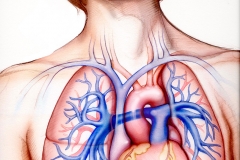 Pharm-Kane-and-Finkel-Ad-Heat-and-Lungs