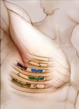 Surgical-Academy-of-Ortho-Surgeons-Flail-Chest