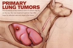 Veterinary-Medicine-Magazine-Primary-Lung-Tumors